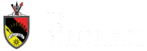 NS_logo
