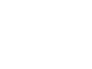 video_icon